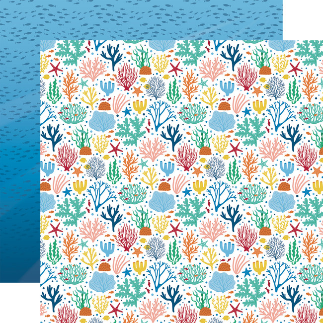 Sea Life: Coral Reef 12x12 Patterned Paper