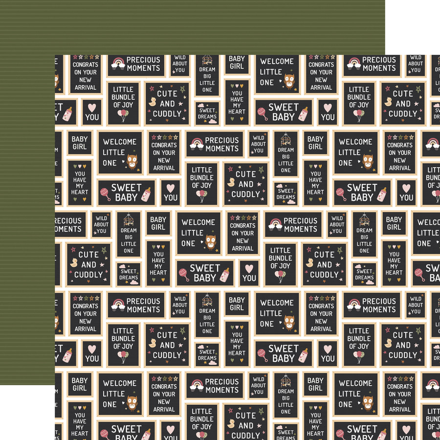 Special Delivery Baby Girl: Baby Girl Signs 12x12 Patterned Paper