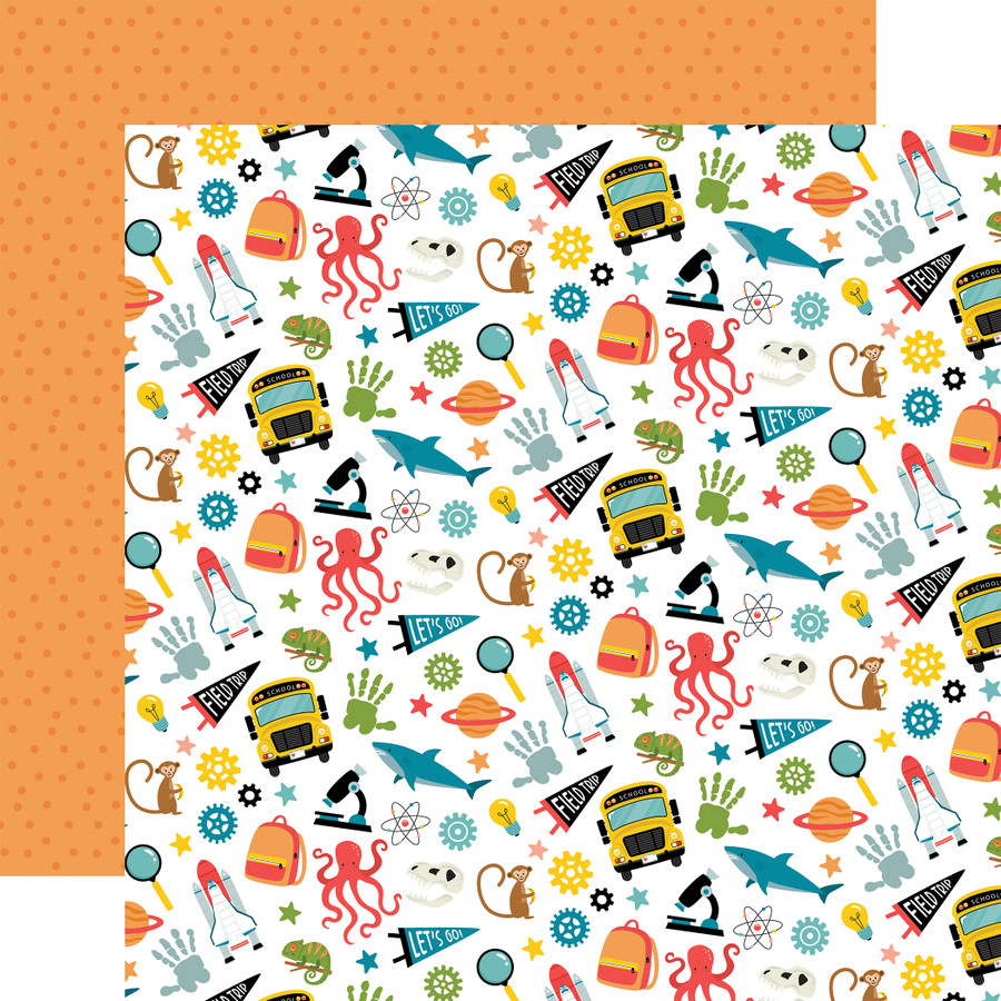 Field Trip: Field Trip Elements  12x12 Patterned Paper