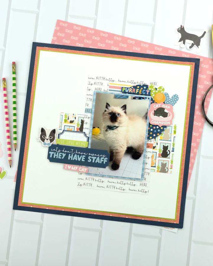Cat Lover Layout Digital Instructions