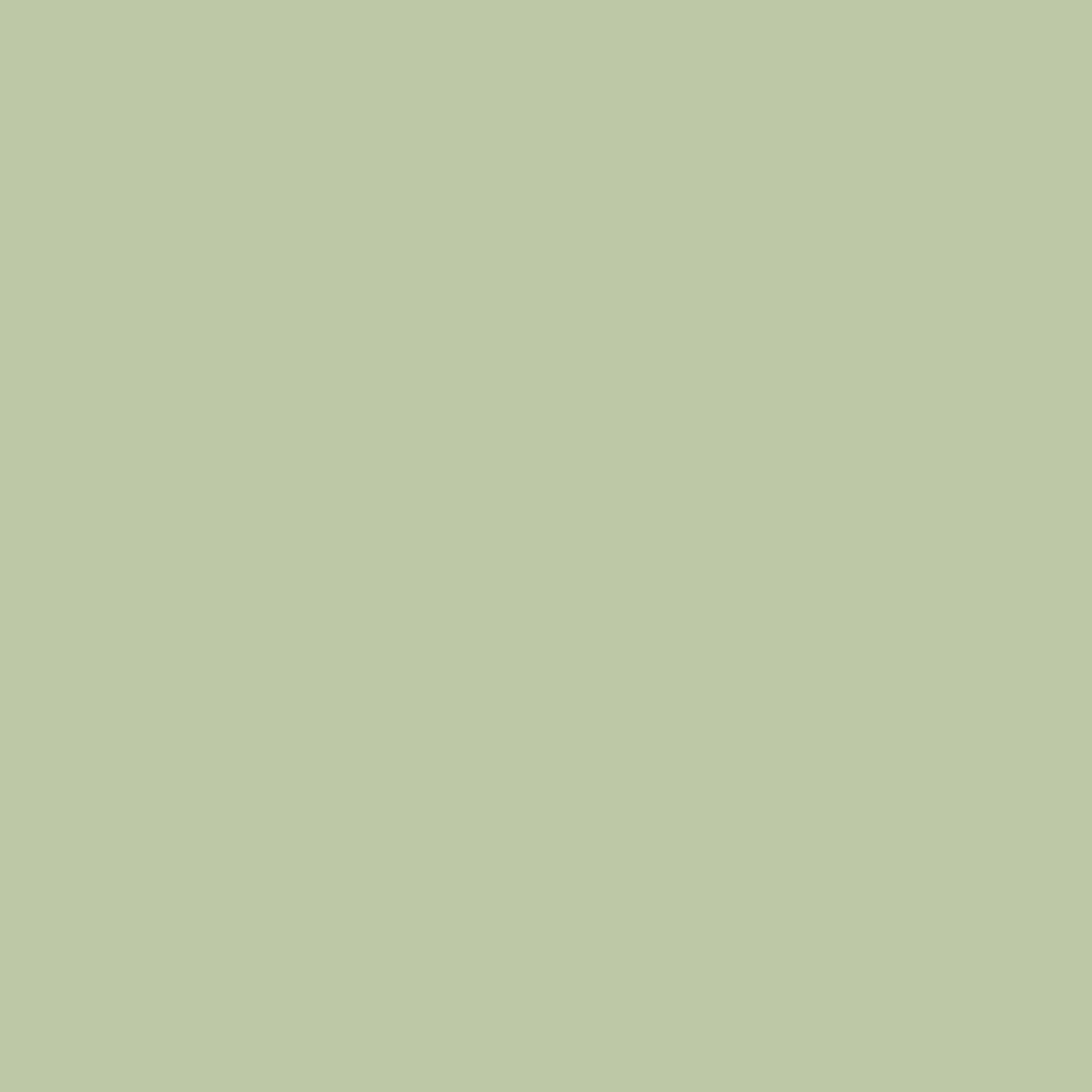 Pale Sage Green Cardstock - 12 x 12 inch - 80Lb Cover - 25 Sheets