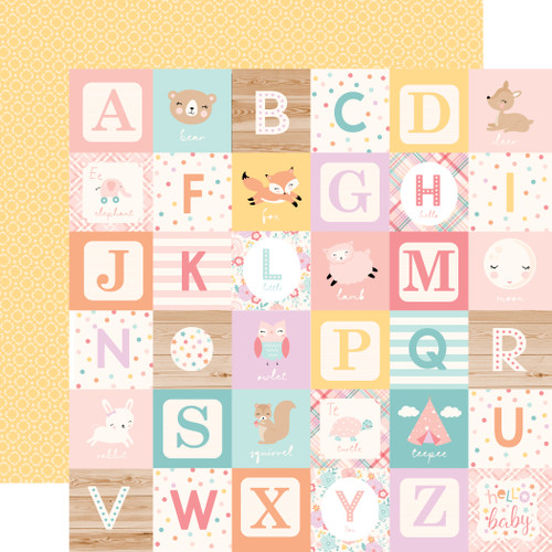 Themes - Baby - Hello Baby Girl - Echo Park Paper Co