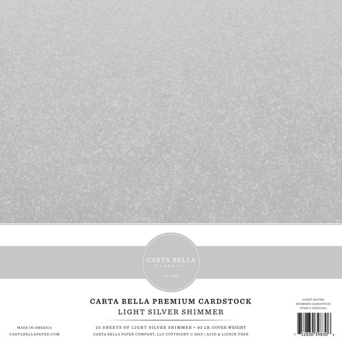 Blank Shimmer Paper, Silver Metallic