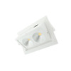 Commercial Double Downlight Adjustable side