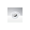 Adjustable GU10 Downlight