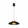 LED integrated black and gold pendant light