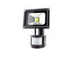 LED 10W Outdoor Floodlight for Landscape Lighting. Exterior Security Lighting.