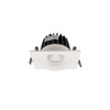 Adjustable Downlight with Tilt