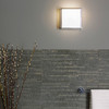 Mashiko 200 Square in Bronze Bathroom Flush Ceiling and Wall Light