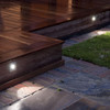 Tango LED 3000K in Brushed Stainless Steel Low Level Outdoor Lights IP65