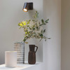 Ascoli Single Surface Mounted Spotlight GU10 Illuminating Flower Pots.