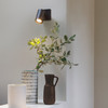 Ascoli Single Surface Mounted Spotlight GU10 Illuminating Flower Pots.