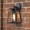 Calvi 215 Indoor Wall Light with Glass Diffuser Outdoor Wall Installation