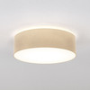 Cambria 580 Ceiling Flush Light