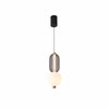 LED Pendant Light