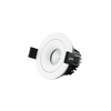 Adjustable White Downlight