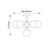 Oscar 6 Light Technical Drawing