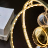 Gold Frame Closeup