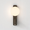 Zeppo Reader - Bronze