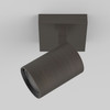 Ascoli Single - Bronze