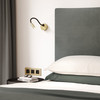 Lucca Surface - Matt Gold