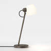 Imari Desk - Bronze