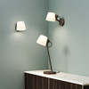 Imari Desk - Bronze