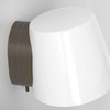 Imari Fixed Wall - Bronze