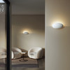 Dawn Wall - Plaster