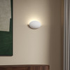 Dawn Wall - Plaster