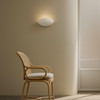 Dawn Wall - Plaster