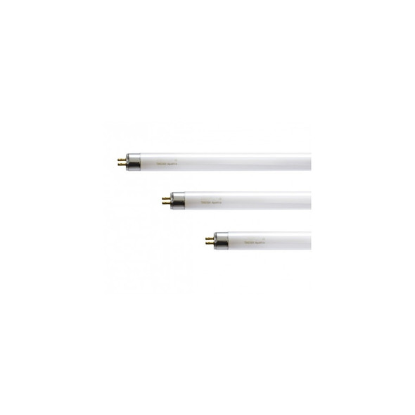 8W/840 T5 8w Fluorescent Tube White