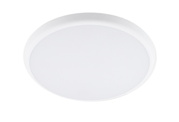 Slim Flush Ceiling & Wall Light Front Image. Ceiling Flush Lights