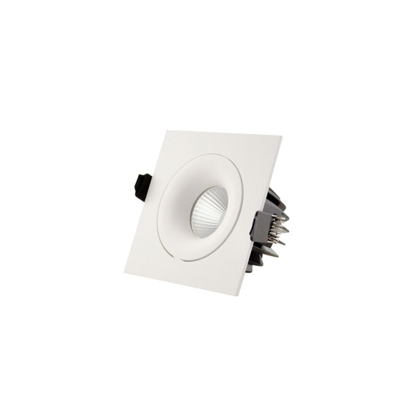 Adjustable Downlight in White
