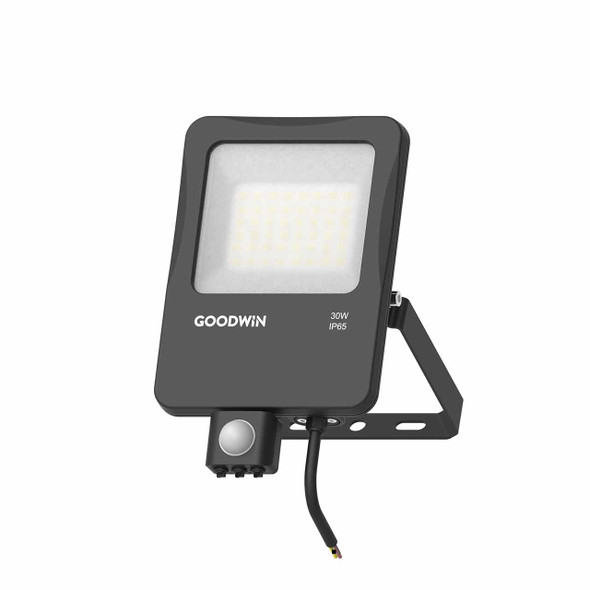 IP65 LED Floodlights with Motion Sensor 30W