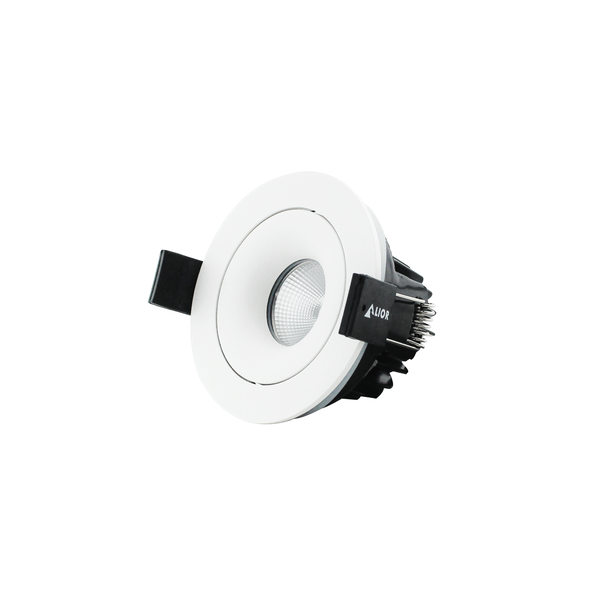 Adjustable White Downlight