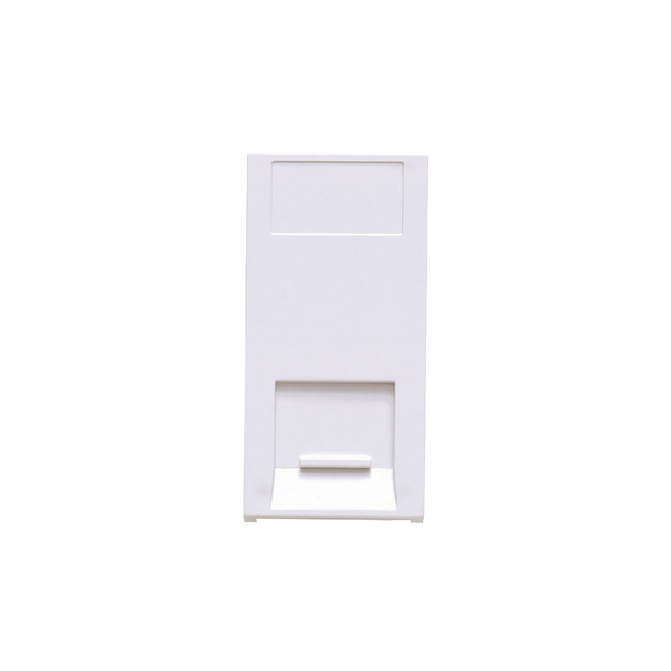 BT Slave Module in White Finish