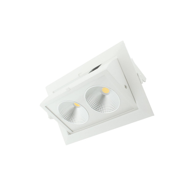 Commercial Double Downlight Adjustable side