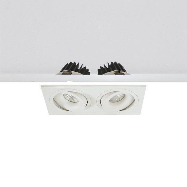 Minimalist Twin Tiltable 10W Dimmable LED Downlight 4K IP44