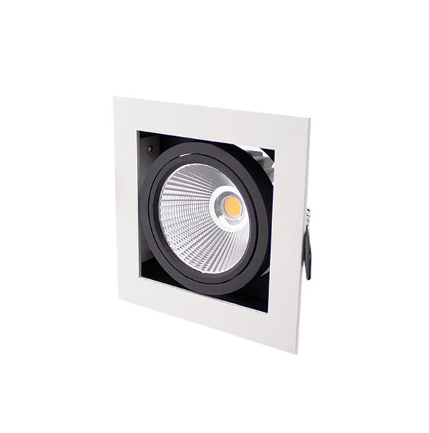 LED Tiltable Downlight Dimmable IP44