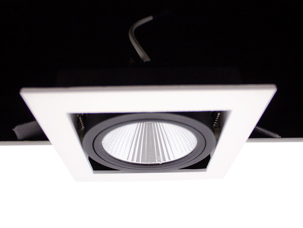 LED Tiltable Downlight Dimmable IP44