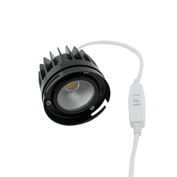 Module with CCT changeable switch