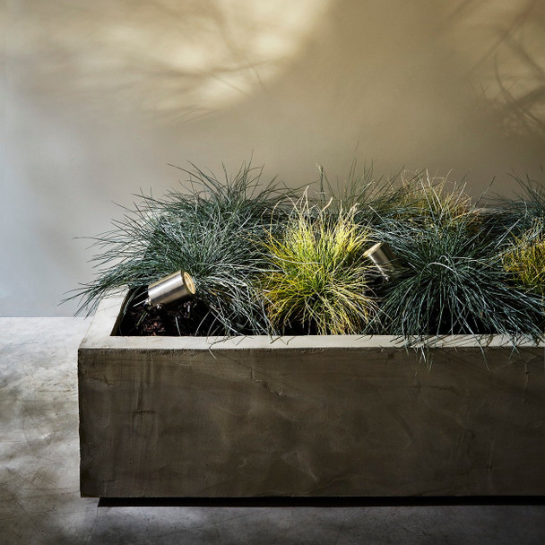 Brushed stainless steel spike spotlight – Skye Spike Spotlight highlighting shrubs and garden features, IP65 outdoor light