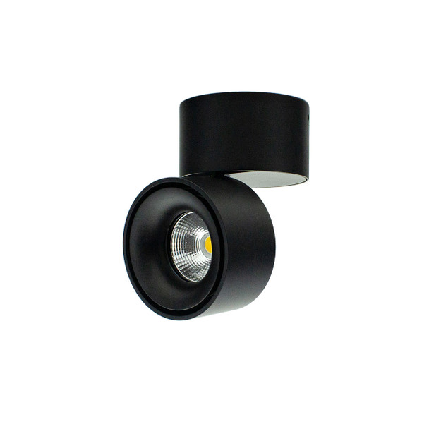Adjustable Black Spotlight-1