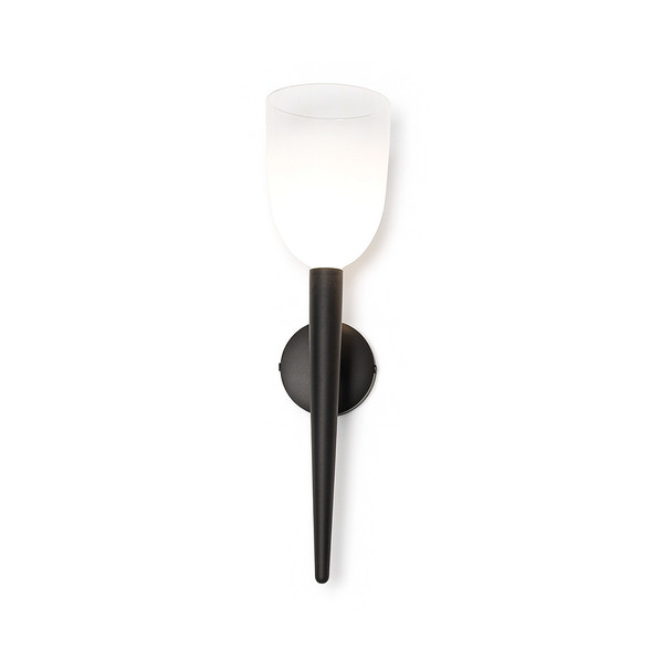 Contemporary Wall Light with Tulip Glass Shade