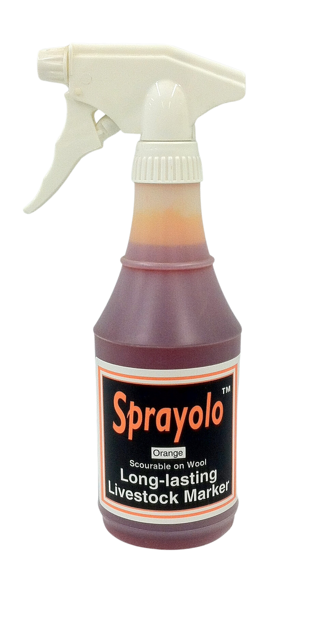 16oz Spray Bottle