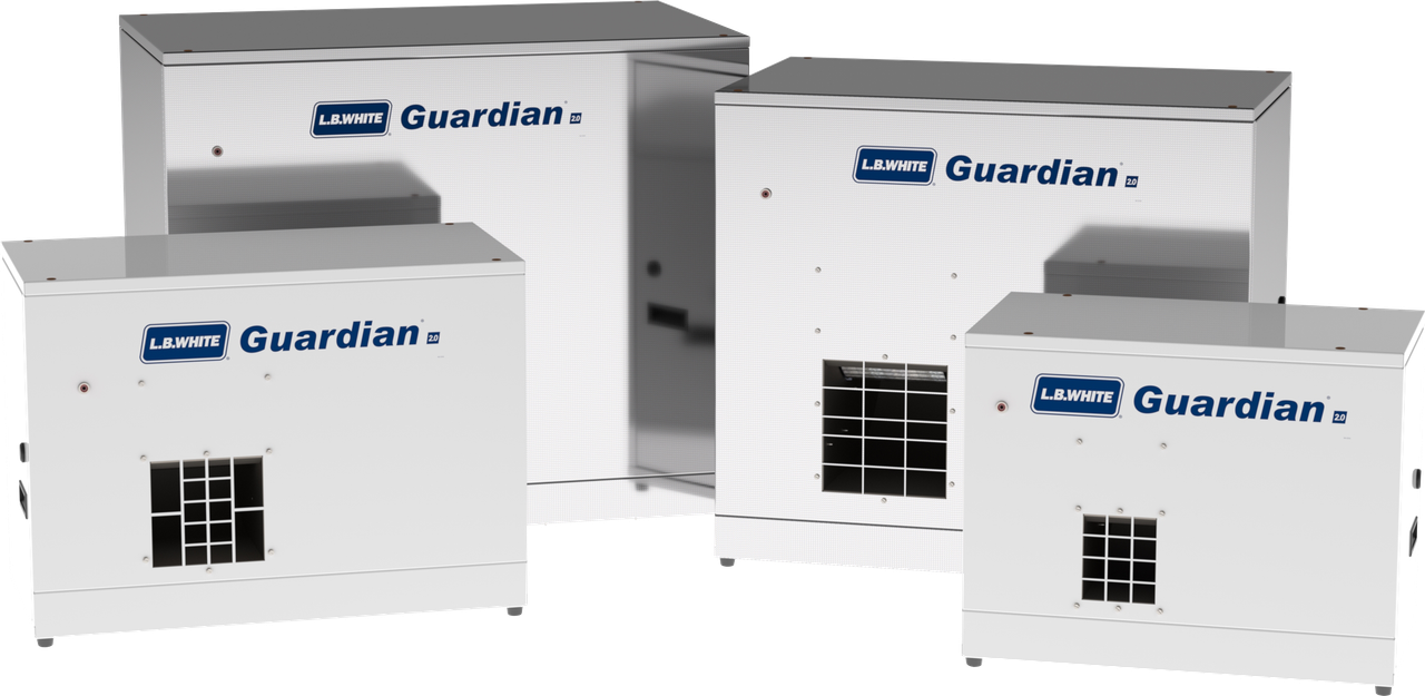 LB White Workman 225 Plus Heater - 45,000 To 225,000 BTUH, LP Gas, Model CV225CZPD110094
