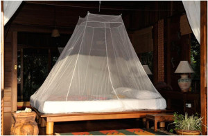 Cocoon Mosquito Travel Double Net