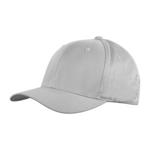 Flexfit Unisex Classic Cap Silver