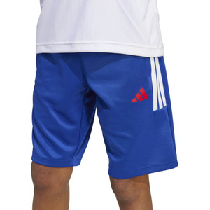 Adidas Youth House of Tiro Shorts Semi Lucid Blue/Pure Ruby/White